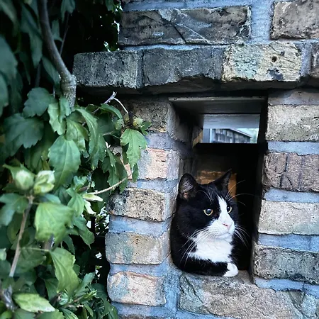 Apartamento Quartier Im Gutshaus *