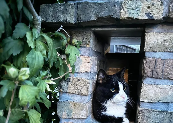 شقة Quartier Im Gutshaus *